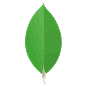 MongoDB / Firebase 1
